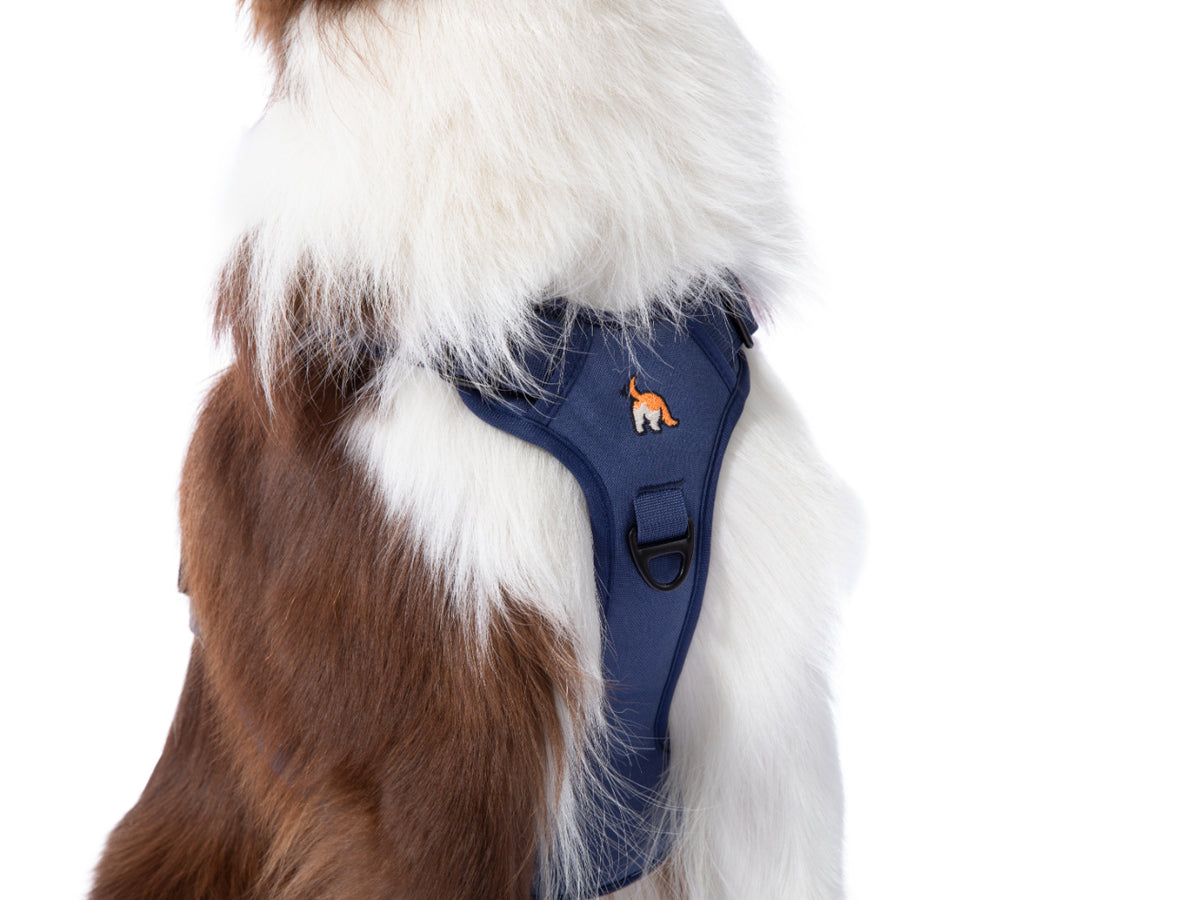 Wagging Rights Adjustable Harness