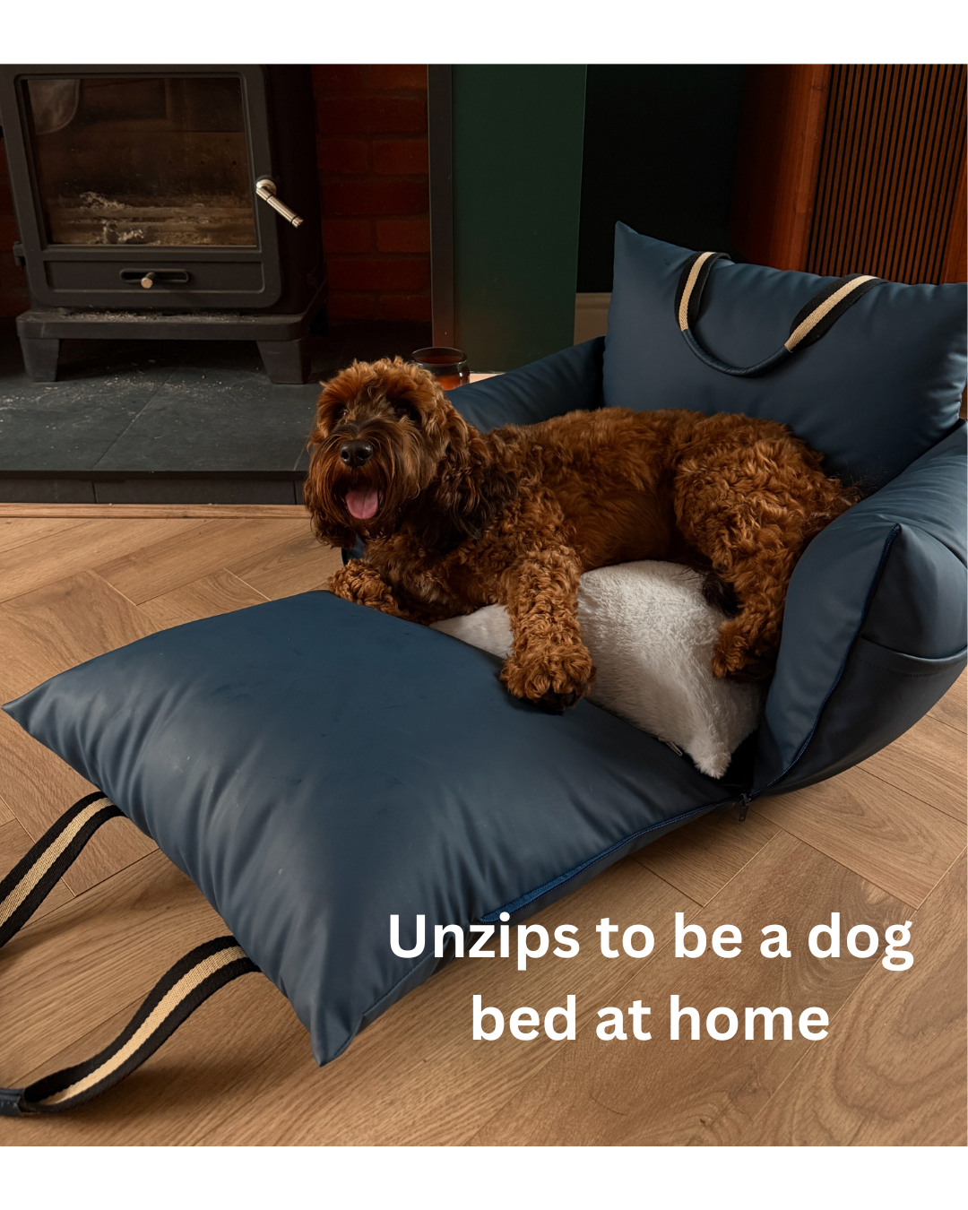 Dog Dock V2 New & Improved ISO Fix