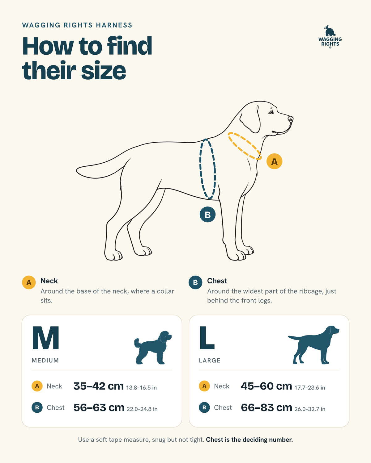 Harness Sizing